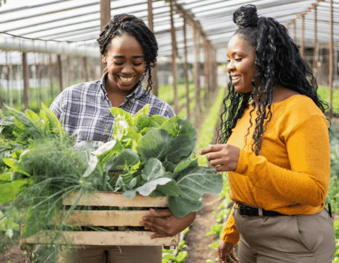 Black Farmers Detroit