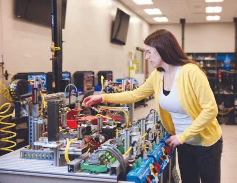 Schoolcraft Training Program