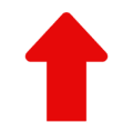 Consumer Price Index