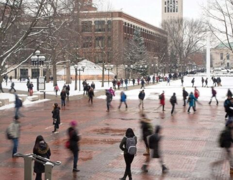 University of Michigan Campus in the winter