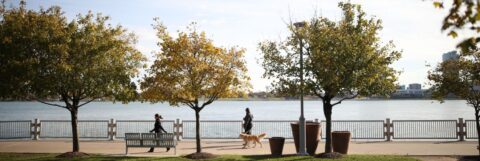 Detroit RiverWalk