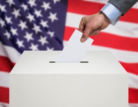 Democratic Process - voting