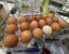 egg carton