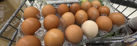 The Inflation From Tariffs That Economists Feared Begins to Emerge