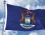 Michigan Waving Flag