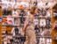 higher consumer costs - tariffs (1)