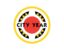 City year logo