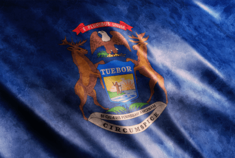 Michigan flag