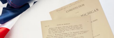 Michigan constitution