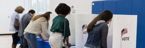 Individuals vote at voting booths