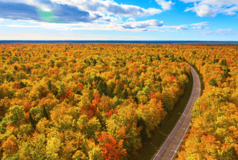 michigan autumn