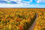 michigan autumn
