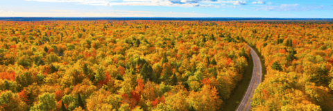 Opinion: Pure Michigan is More Than a Tourism Campaign, It's an Economic Development Asset